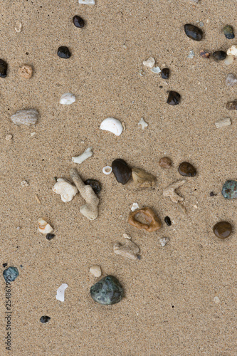 Crushed coral stone on the beach