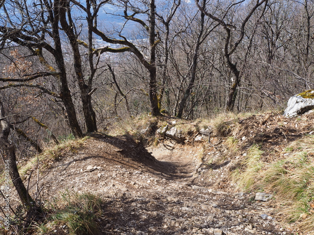 Obraz premium Path leading to the top of the mount Rachet in the Chartreuse mountain