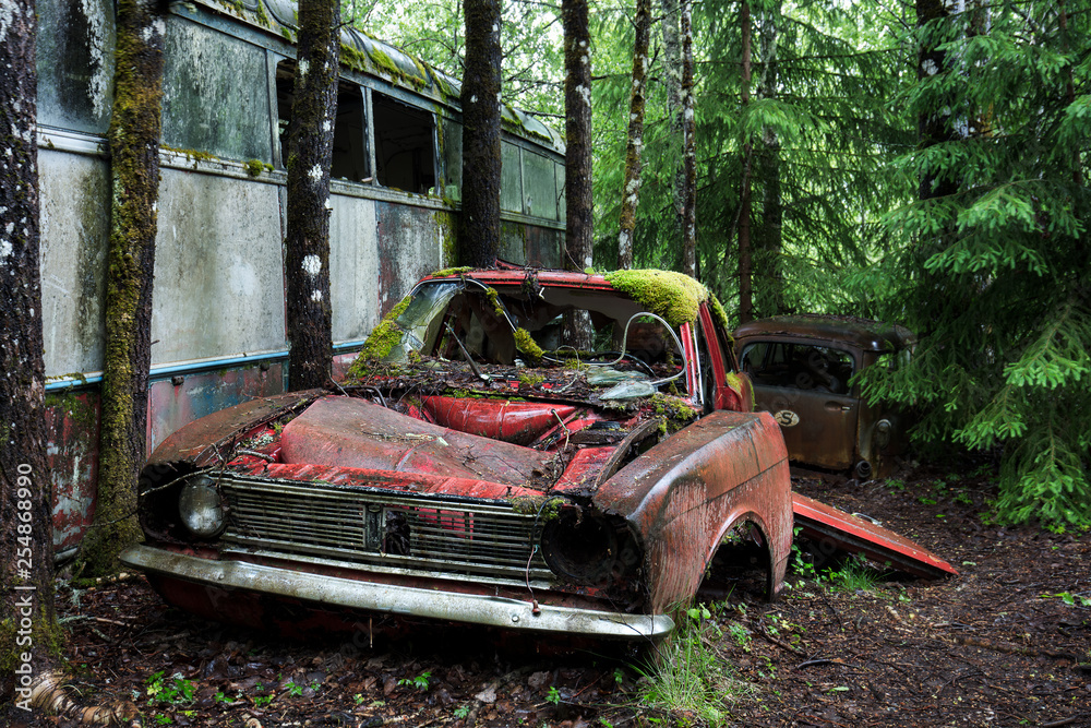 The Bastnas car graveyard lies in a Swedish forest and reportedly contains the the rusting carcasses of 1,000 abandoned cars. The Bastnas car graveyard lies in a Swedish forest and reportedly contains the the rusting carcasses of 1,000 abandoned cars.