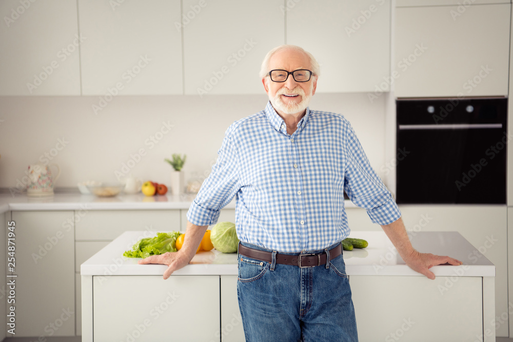 Close up portrait grey haired he his him grandpa proud kitchen lean cooking  table ready show master class wear specs casual checkered plaid shirt jeans  denim outfit stand light flat room Stock