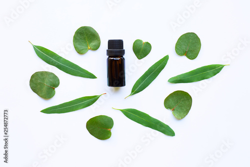 Eucalyptus essential oil with leaves on white