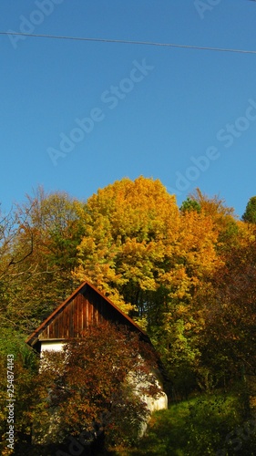View of a beautiful autumn landscape in the forest © maria