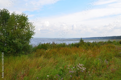 The end of the summer. Flowering flood meadows.