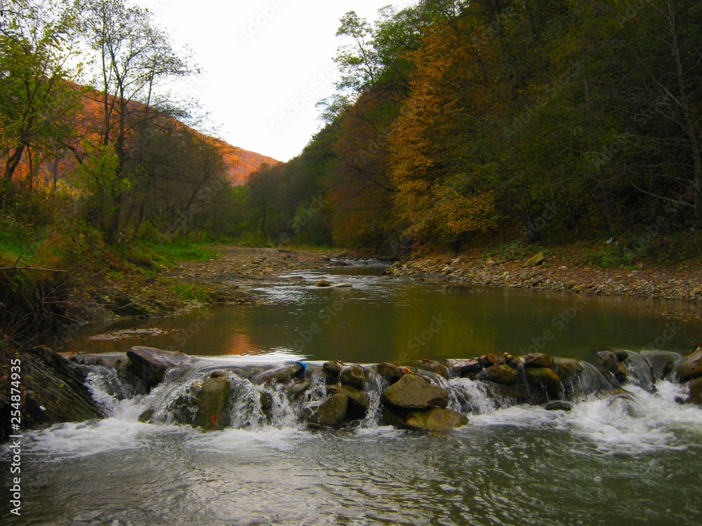 View of a beautiful autumn landscape in the forest View of a beautiful autumn landscape in the forest