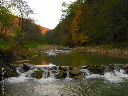 View of a beautiful autumn landscape in the forest