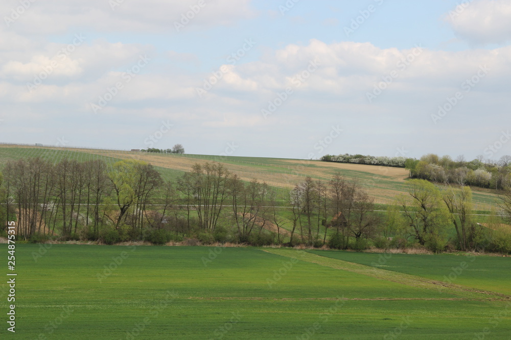 Spring in nature. Photo Czech republic, Europe