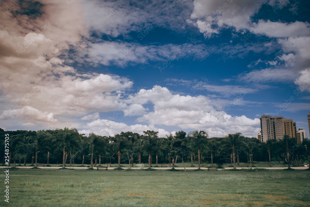 Fototapeta premium Parque