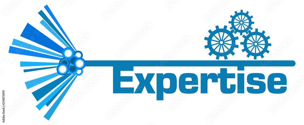 Expertise Gears Blue Graphical Element 
