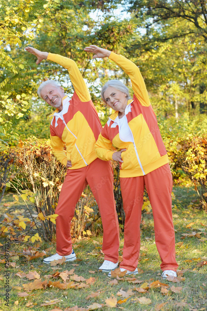 Fototapeta premium Fit senior couple exercising in autumn park