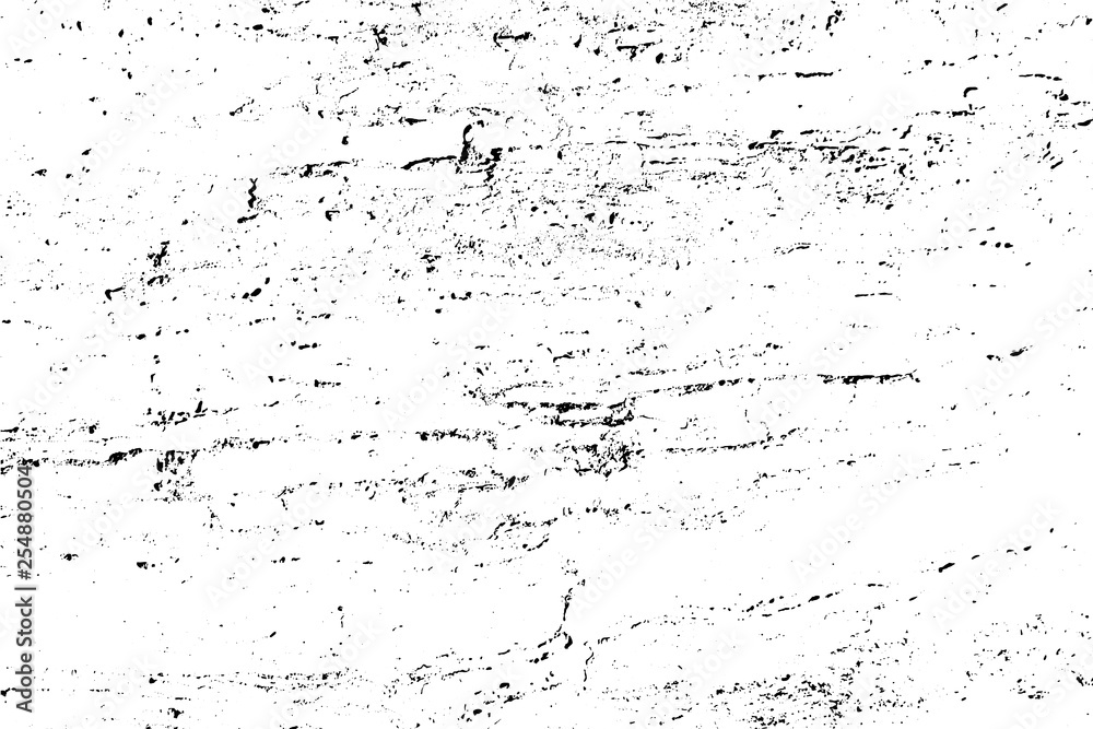 Vector wood texture. Abstract background, old tree surface.