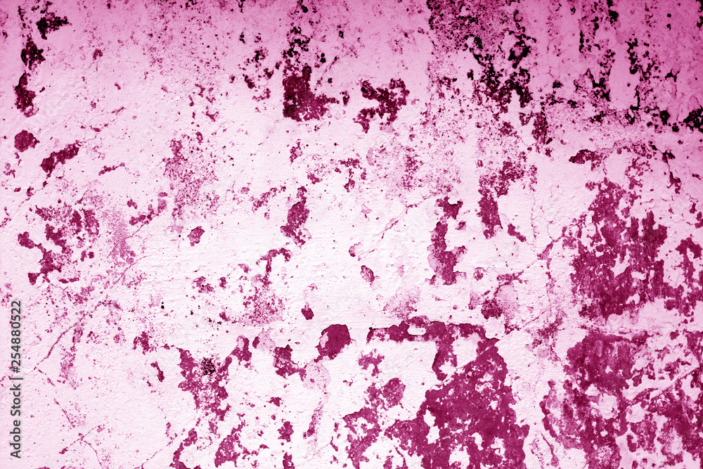 Fototapeta premium Сraked weathered cement wall texture in pink tone.