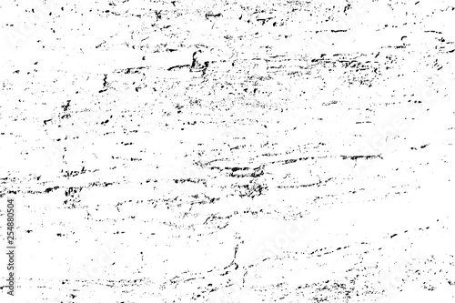 Vector wood texture. Abstract background, old tree surface.