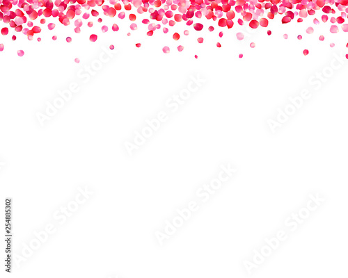 Wallpaper Mural White background with pink rose petals Torontodigital.ca