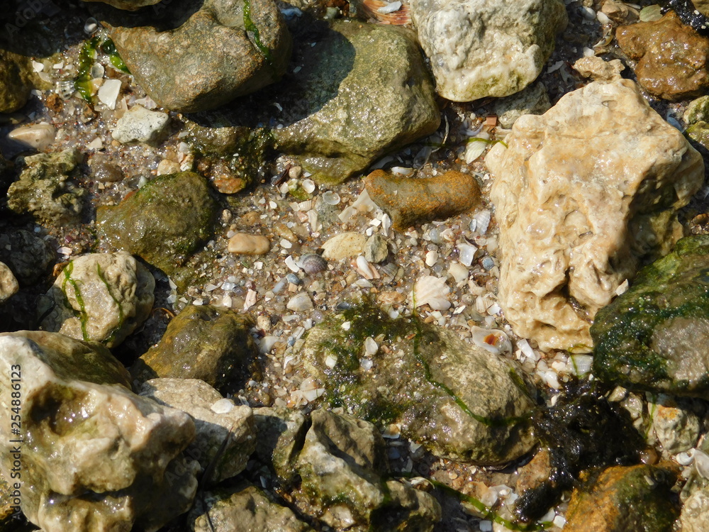 river bank: sand, stones and shells river bank: sand, stones and shells