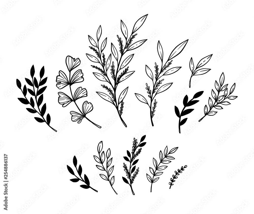 Hand sketched vector elements ( laurels, leaves, branches). Wild and free. Floral design elements. Perfect for invitations, greeting cards, prints, posters Hand sketched vector elements ( laurels, leaves, branches). Wild and free. Floral design elements. Perfect for invitations, greeting cards, prints, posters