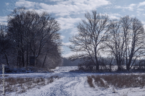 Winter © fanynka_u
