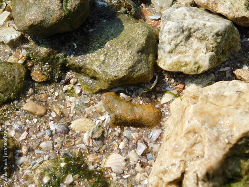 river bank: sand, stones and shells