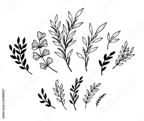 Hand sketched vector elements ( laurels, leaves, branches). Wild and free. Floral design elements. Perfect for invitations, greeting cards, prints, posters