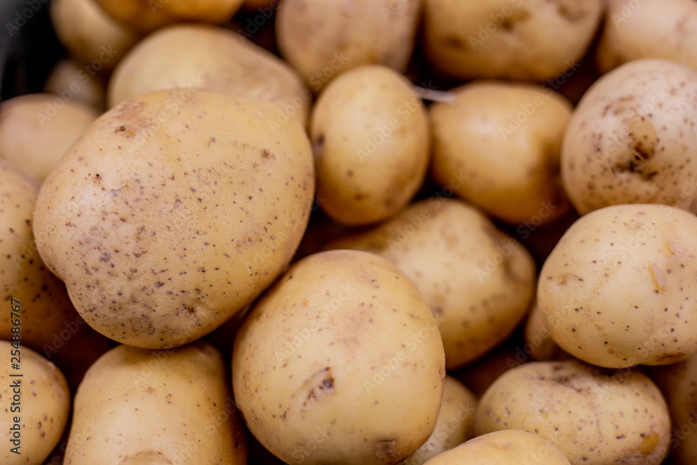 fresh potatoes for baking, cooking and putting in the salad fresh potatoes for baking, cooking and putting in the salad