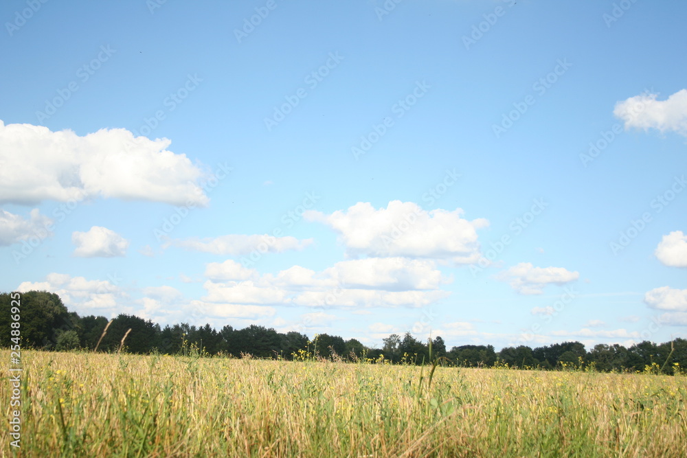 Natur Natur