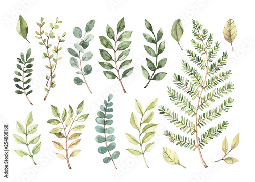 Vector watercolor illustrations. Botanical clipart. Set of Green leaves, herbs and branches. Floral Design elements. Perfect for wedding invitations, greeting cards, blogs, posters and more