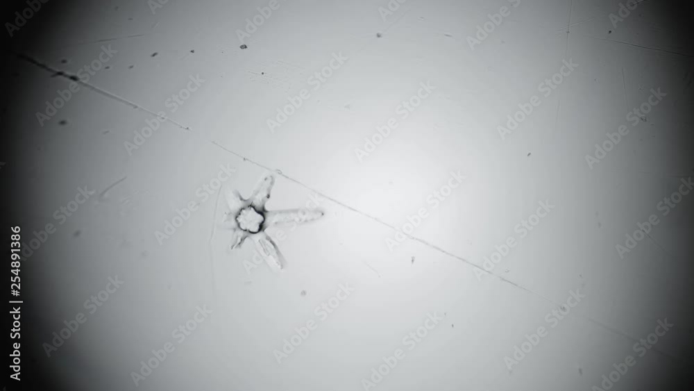 formation of a natural hexagonal star from a drop formation of a natural hexagonal star from a drop
