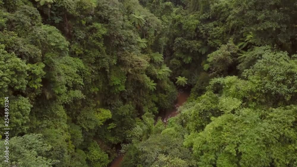 Nungnung waterfall in the middle of Bali, Indonesia. Aerial shots during an overcast day. Nungnung waterfall in the middle of Bali, Indonesia. Aerial shots during an overcast day.