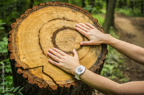 A woman touches the stump of a cut tree