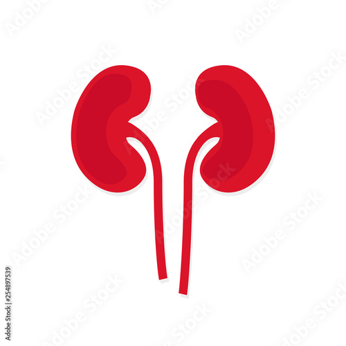 Kidney vector icon. World kidney day illustrations.