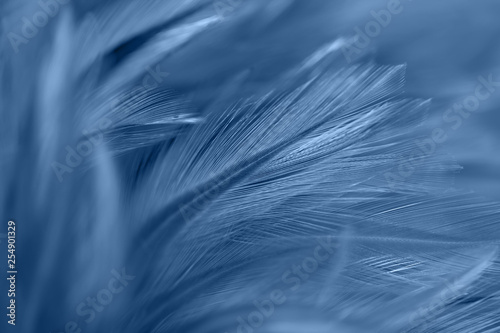 Blur styls and soft color of chickens feather texture for background © apimook