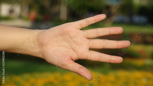 Female Hand Five Fingers © dtiberio