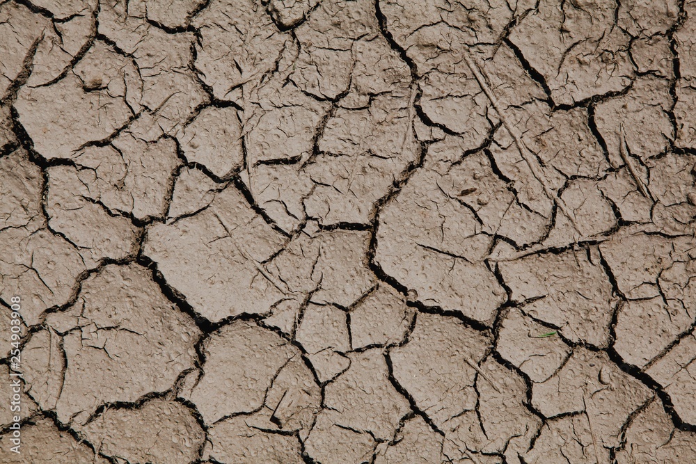Risk of global warming - dry soil with cracks. Risk of global warming - dry soil with cracks.