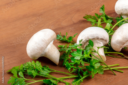 Champignon mushrooms on a dark rustic wooden background with fresh parsley leaves and copy space