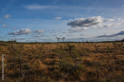 Store Mosse Nationalpark