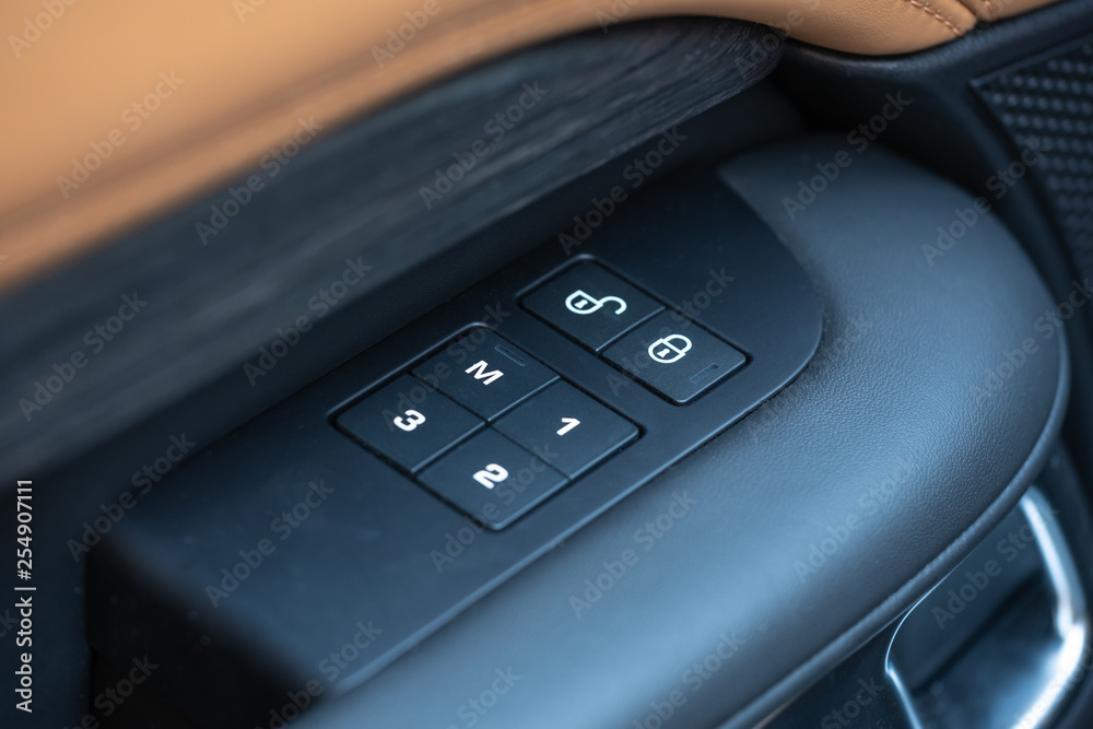 Car Interior Door and Seat Controls