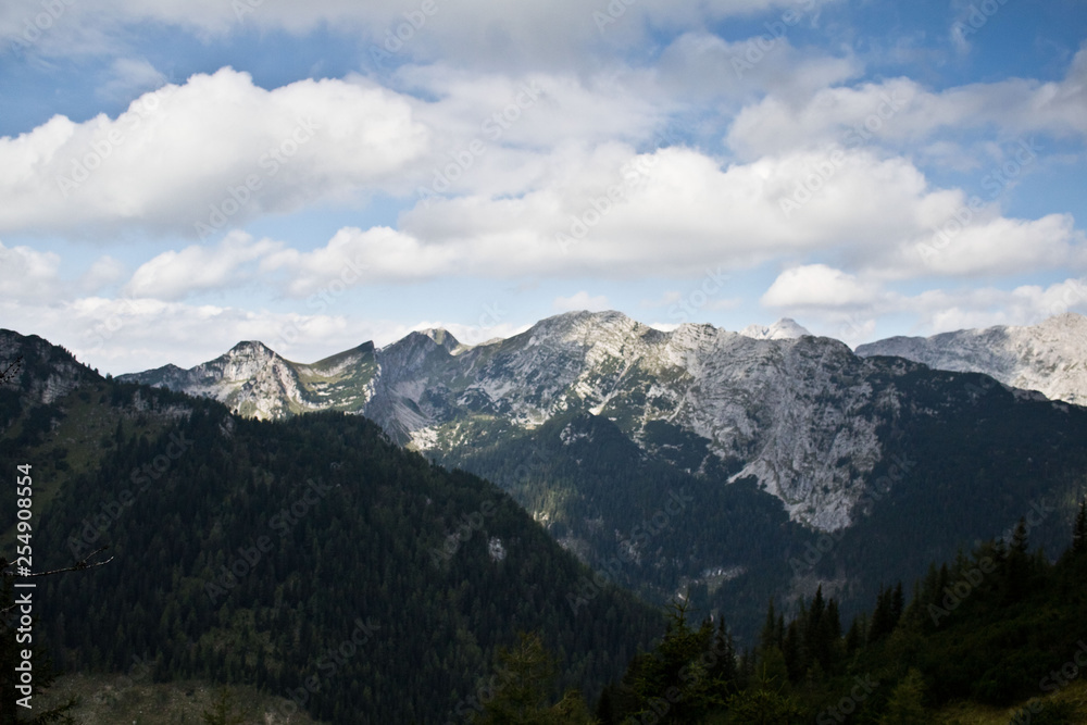 Obraz premium landscape