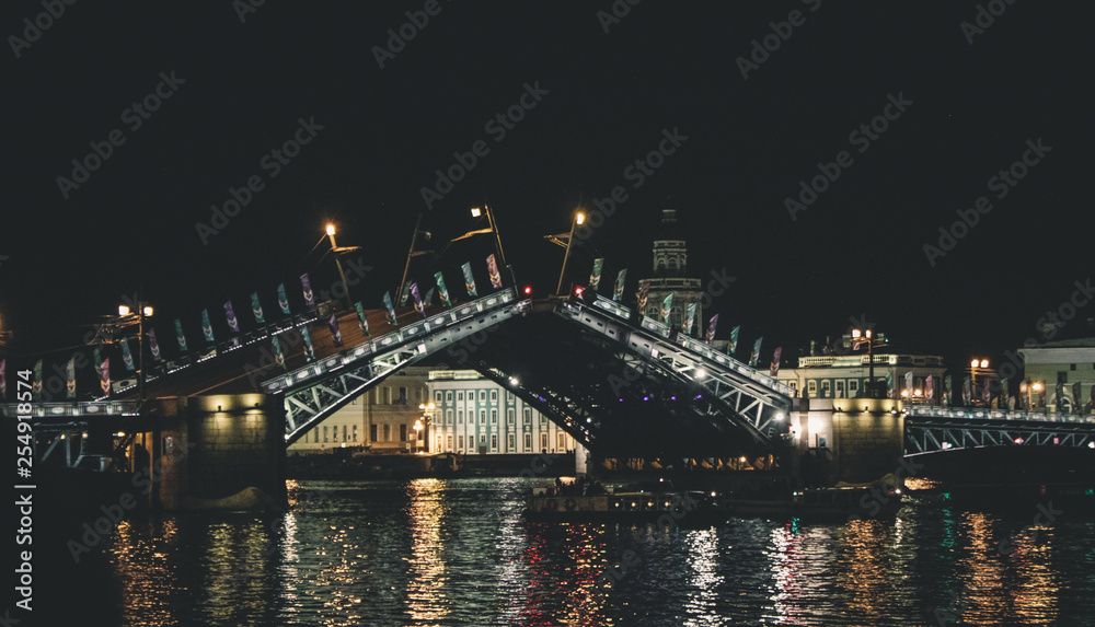 St Petersburg night bridge cityscape