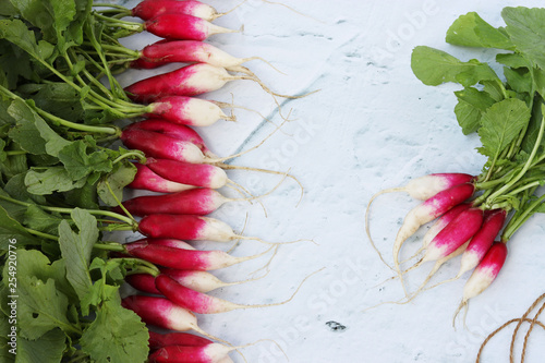 Summer harvested red radish, Growing organic vegetables, Located on a light marble background, Top view