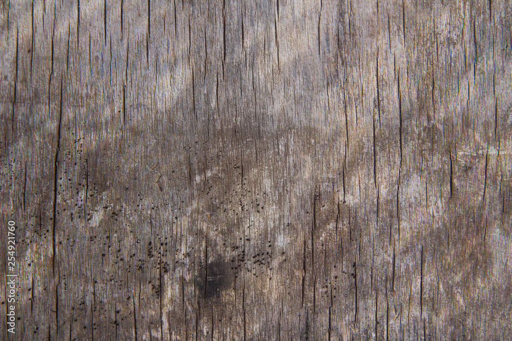Wooden surface with cracks and breaks texture closeup Wooden surface with cracks and breaks texture closeup