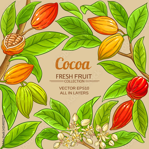 cocoa vector frame