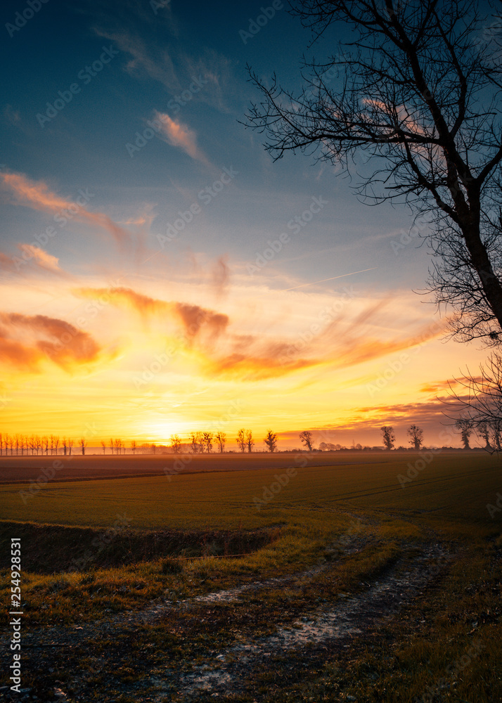 Road leading into beautiful bright sunset over France near Mont Saint-Michel