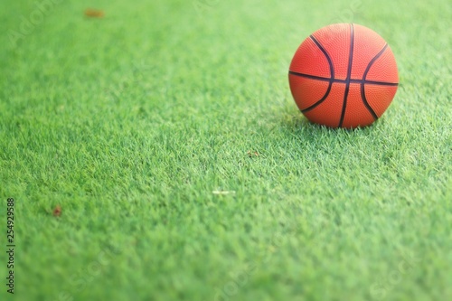 Basketball on the green grass in the garden