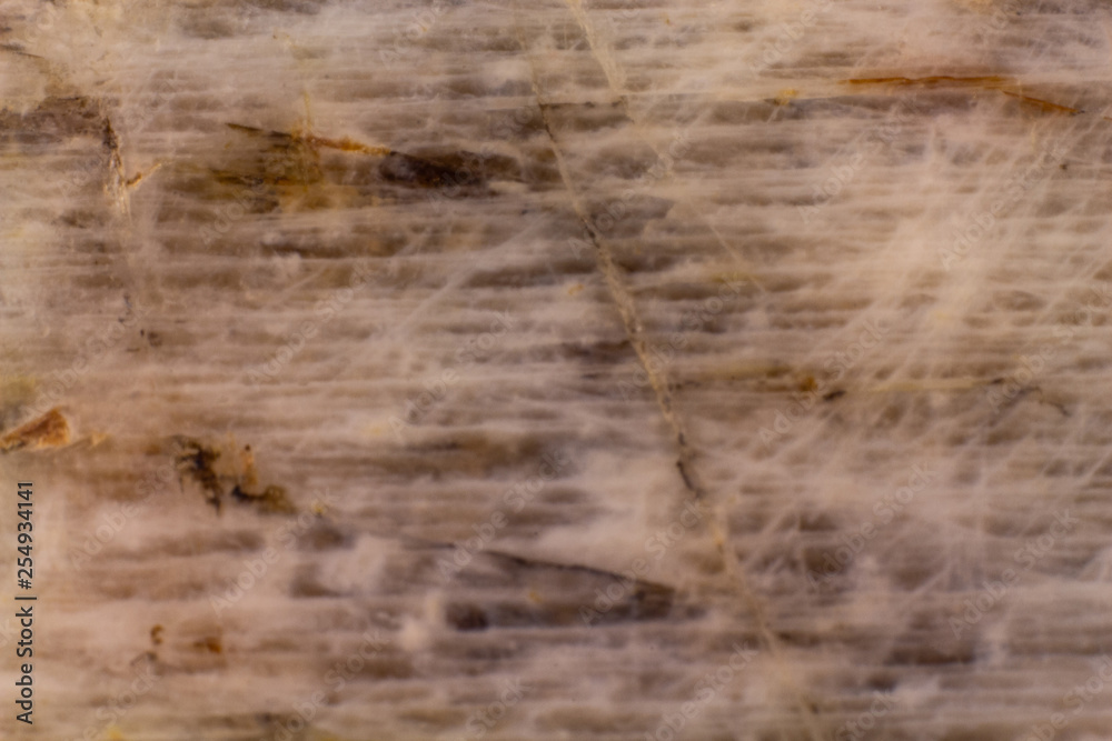 Fototapeta premium Natural belomorite texture abstract background