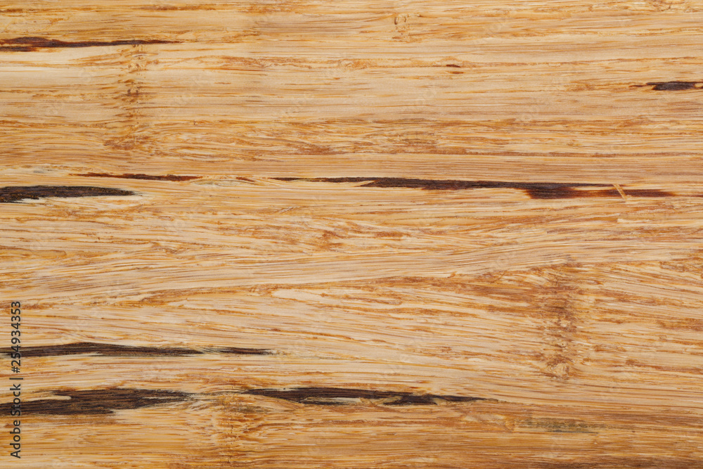 Fototapeta premium Bamboo tree wooden texture