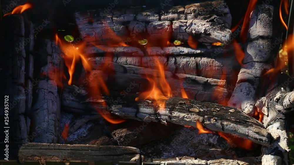 Burning fire outdoors. Going to cook lunch on open fire at backyard. Real time full hd video footage. Burning fire outdoors. Going to cook lunch on open fire at backyard. Real time full hd video footage.
