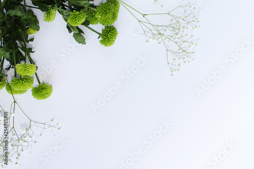 green flowers spring blossom on white background