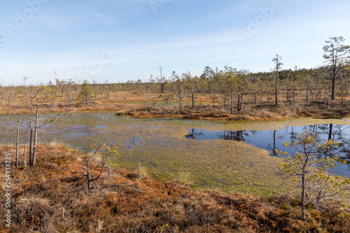 National swamp park in Kemeri