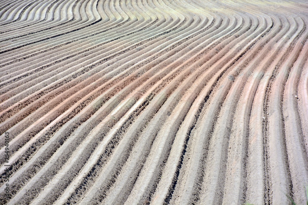 Campo arado preparado para la siembra