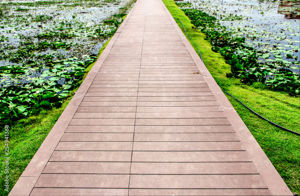 Wooden straight walkway and green grass in the outdoor botanical garden Wooden straight walkway and green grass in the outdoor botanical garden
