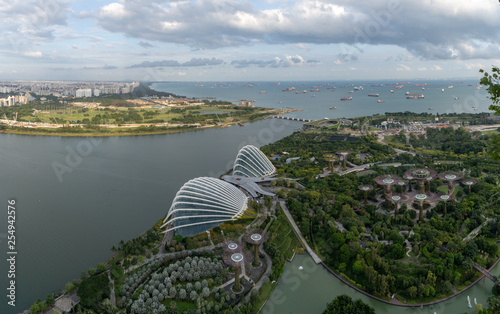 Photography Gardens by the Bay from Marina Bay Sands Resort